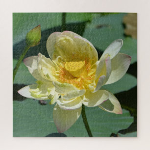  Lotus Blossom Legpuzzel
