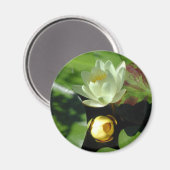 Lotus Blossom Magnet (Recto/Verso)