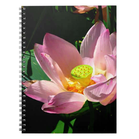 Lotus Blossom Notitieboek (Voorkant)