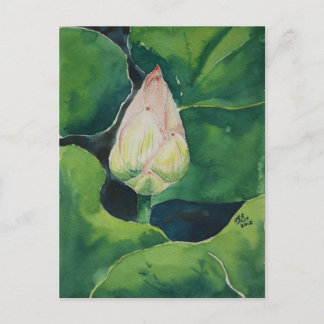 Lotus Briefkaart