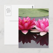lotus briefkaart (Voorkant / Achterkant)