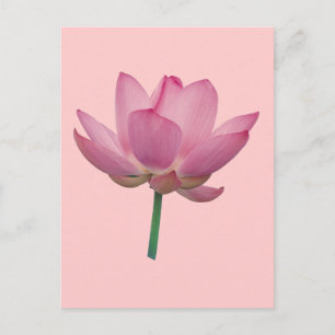 Lotus Briefkaart