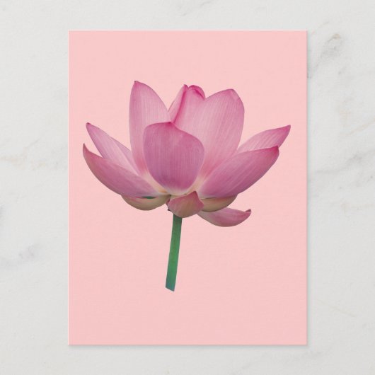 Lotus Briefkaart (Voorkant)