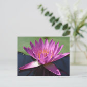 Lotus Briefkaart (Staand voorkant)