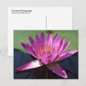 Lotus Briefkaart (Voorkant / Achterkant)