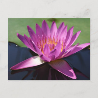Lotus Briefkaart