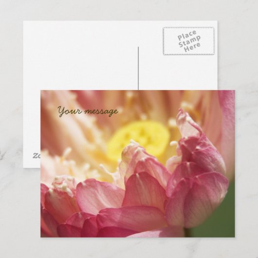 Lotus Briefkaart (Voorkant / Achterkant)