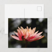 Lotus Briefkaart (Voorkant / Achterkant)