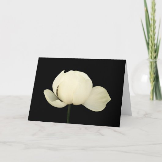Lotus Bud Kaart (Voorkant)
