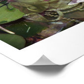 Lotus & Buddha Poster (Hoek)