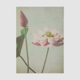 Lotus by Ogawa Kazumasa Tissuepapier