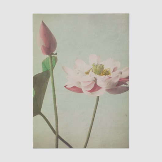 Lotus by Ogawa Kazumasa Tissuepapier (Voorkant)