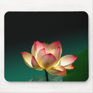 Lotus en pleine floraison, tapis de souris