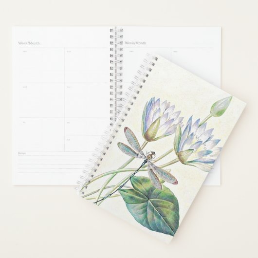 Lotus et libellule (Devant avec enveloppe)