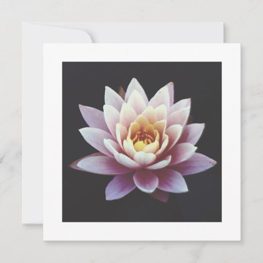 LOTUS FLAT-KAART (Voorkant)