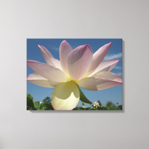 Lotus Flower and Blue Sky II Canvas Afdruk