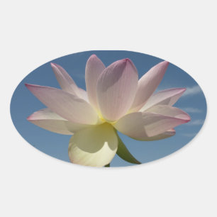 Lotus Flower and Blue Sky II Ovale Sticker