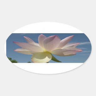 Lotus Flower and Blue Sky II Ovale Sticker