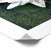 LOTUS FLOWER ART POSTER (Coin)