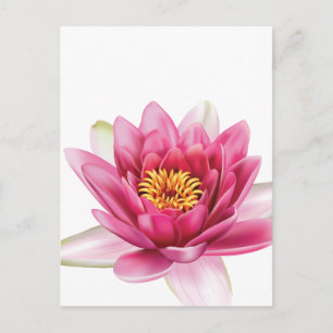 Lotus Flower Briefkaart