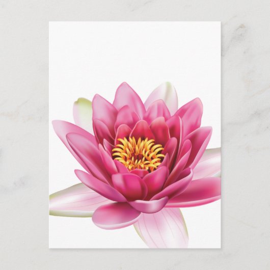 Lotus Flower Briefkaart (Voorkant)