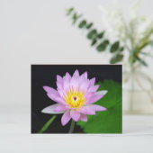 Lotus Flower Briefkaart (Staand voorkant)