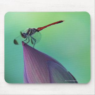 Lotus flower bud and a dragonfly muismat