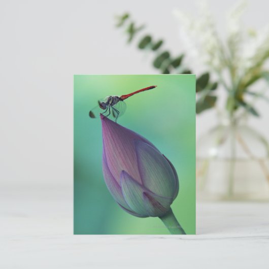 Lotus flower bud en libellen briefkaart (Staand voorkant)