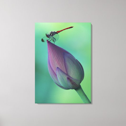 Lotus flower bud en libellen canvas afdruk (Voorkant)