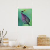 Lotus flower bud en libellen poster (Keuken)