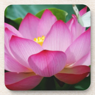Lotus flower & butterfly Plastic onderzetters