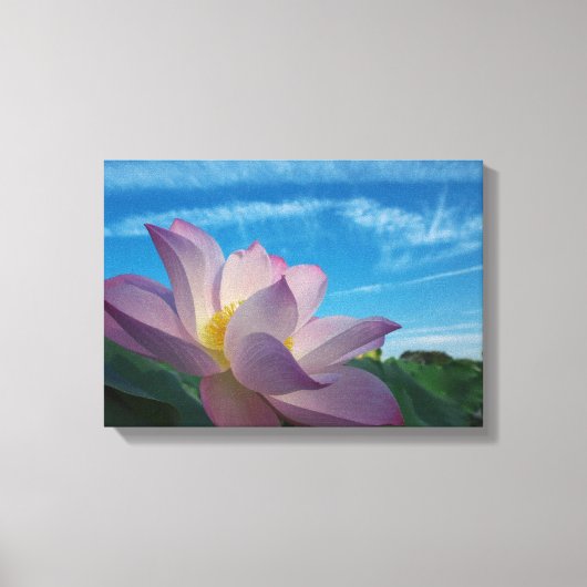 Lotus Flower Canvas Afdruk (Voorkant)