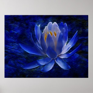 Lotus flower en betekenis ervan poster