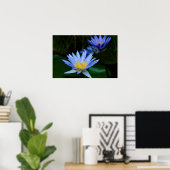 Lotus flower en betekenis poster (Thuiskantoor)