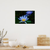 Lotus flower en betekenis poster (Keuken)