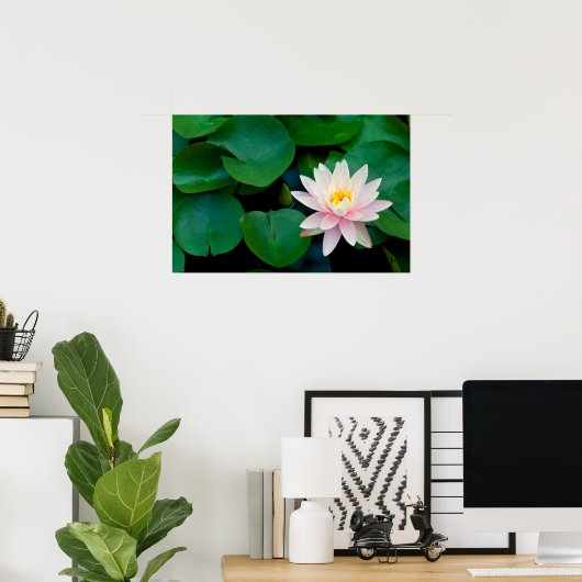 Lotus Flower en Lily Pads Poster (Thuiskantoor)