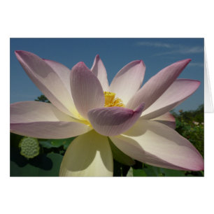 Lotus Flower et Blue Sky I