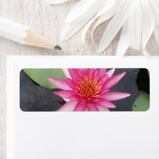 Lotus Flower Etiket (Insitu)