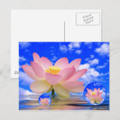 Lotus Flower Geboren in water Briefkaart (Voorkant / Achterkant)