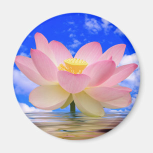 Lotus Flower Geboren in water Magneet