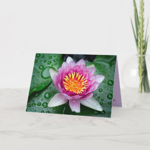 Lotus Flower Kaart