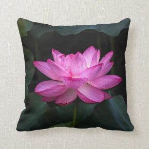 Lotus Flower Kussen