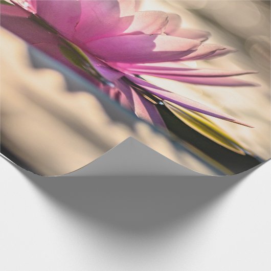 Lotus Flower,Lake,Zen Cadeaupapier (Hoek)