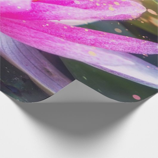 Lotus Flower. Landschap, Zen Cadeaupapier (Hoek)