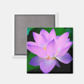 Lotus Flower Magneet (Voorkant / Achterkant)