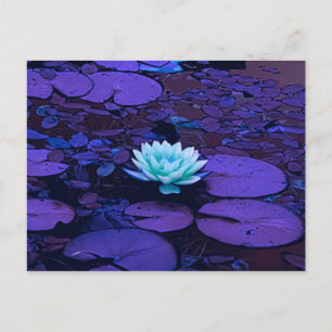 Lotus Flower Paars Blue Turquoise Floral Pond Zen Briefkaart