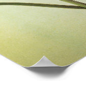 Lotus Flower Poster (Hoek)