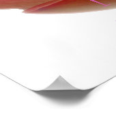 Lotus Flower Poster (Hoek)