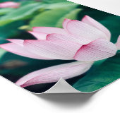 Lotus Flower Poster (Hoek)