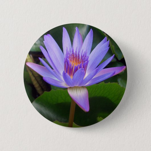 Lotus Flower Ronde Button 5,7 Cm (Voorkant)